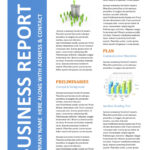 30+ Business Report Templates & Format Examples ᐅ Templatelab For Company Report Format Template