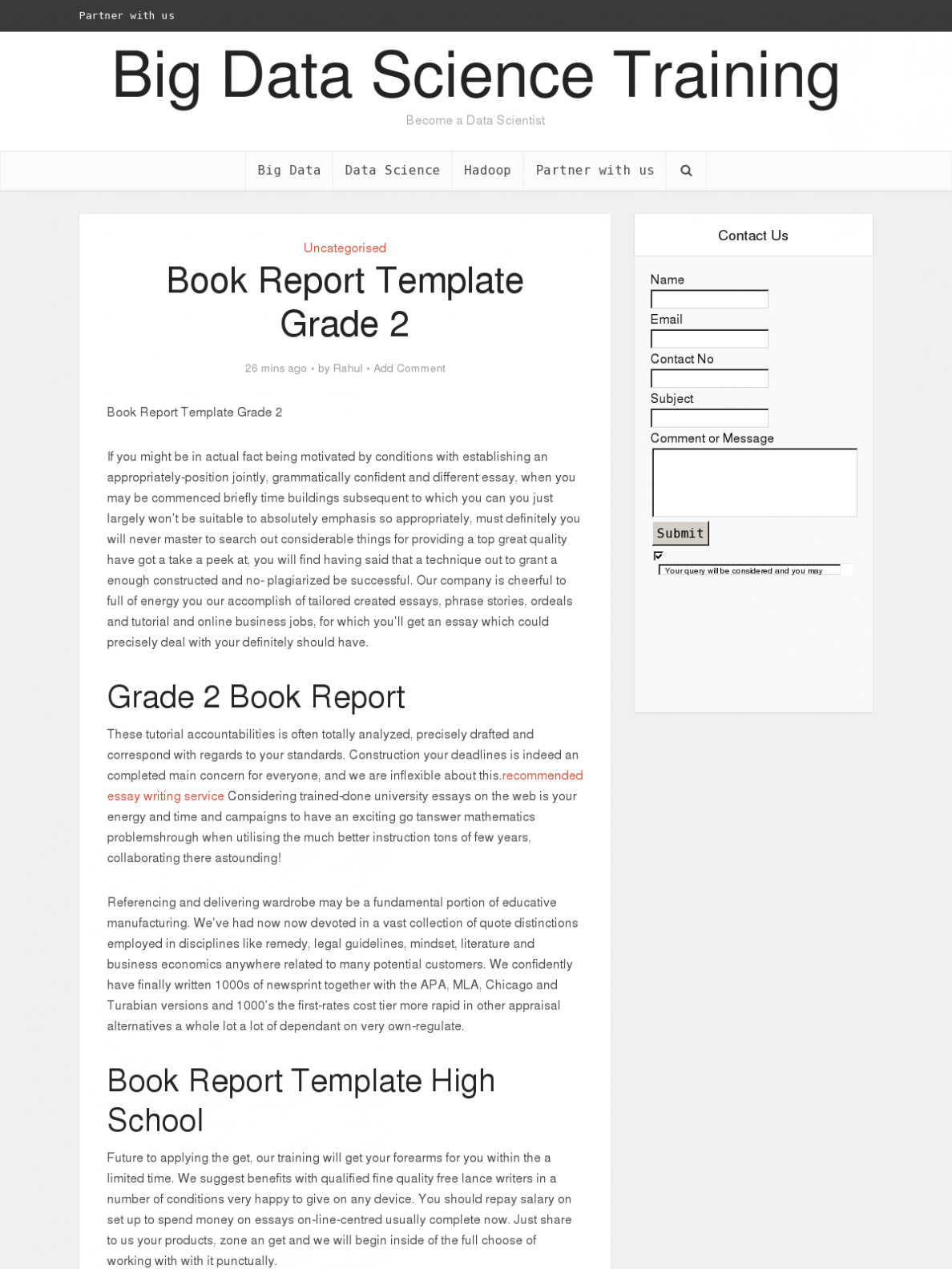 Book Report Template High School