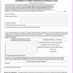 Child Care Illness Report Form Beautiful Incident Report With Incident Report Template Microsoft