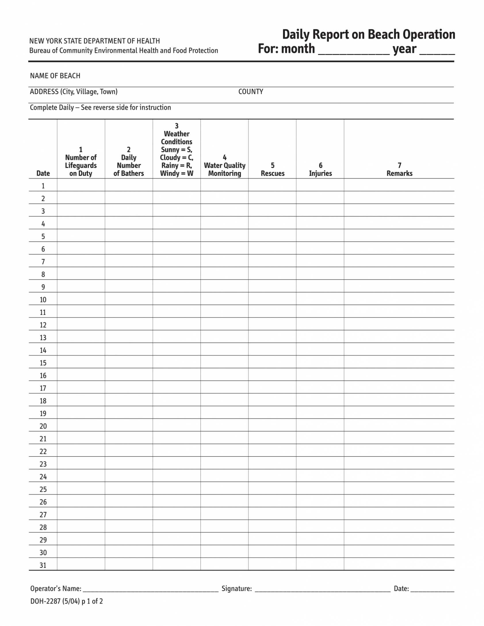 Daily Report Sheet Template