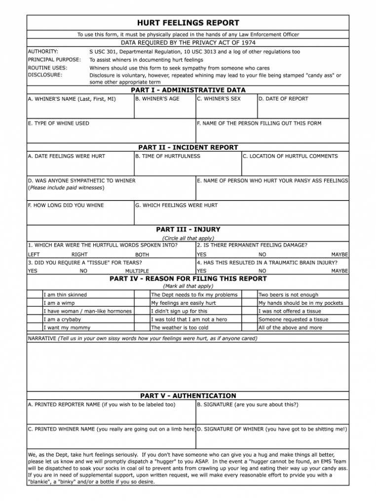 Hurt Feelings Report Printable Word Doc