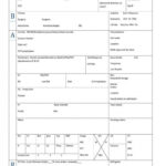 Nursing Report Sheet Template ~ Addictionary Within Med Surg Report Sheet Templates
